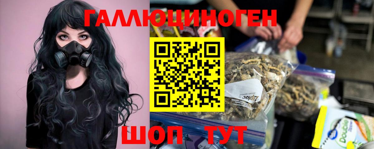 Когалым  Галлюциногенные грибы Psilocybe  Вход с VPN 